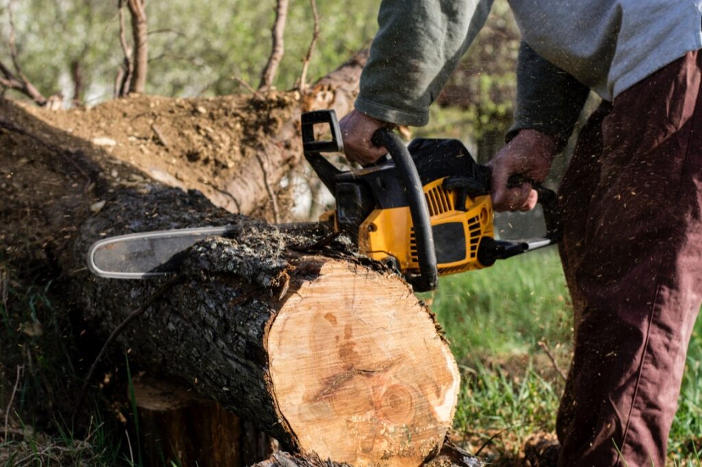 Przetargi wycinka drzew regulowane są przez szereg ustaw i rozporządzeń, które zapewniają ochronę środowiska oraz prawidłowość procesów