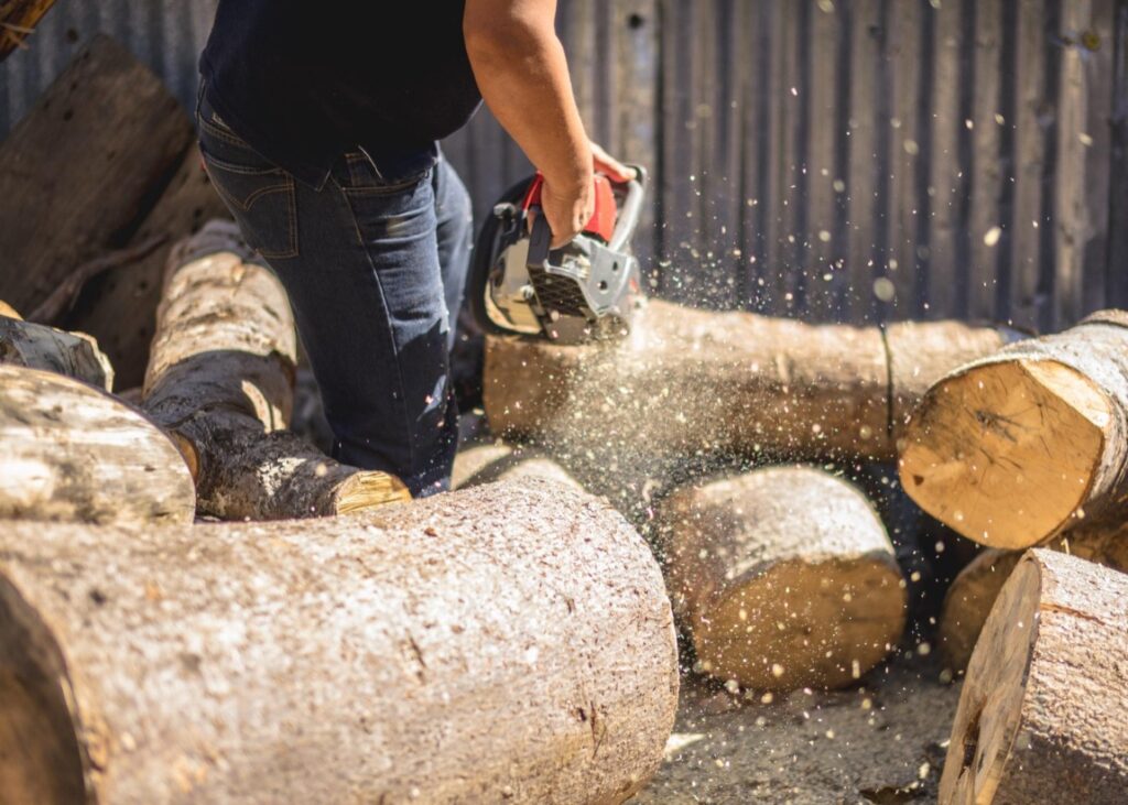 Przetargi wycinka drzew regulowane są przez szereg ustaw i rozporządzeń, które zapewniają ochronę środowiska oraz prawidłowość procesów